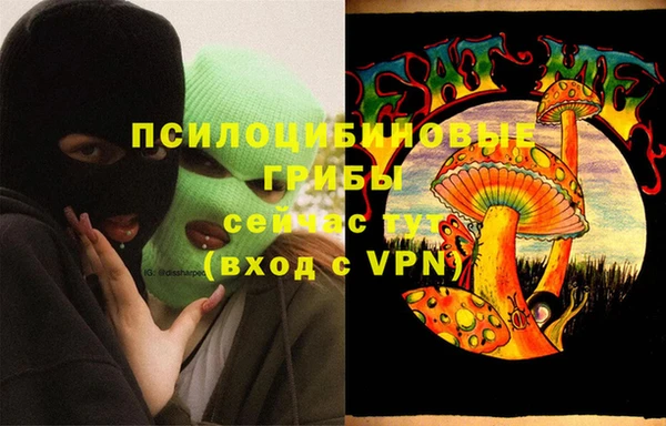 мдпв Балахна