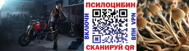 Галлюциногенные грибы Magic Shrooms  где продают наркотики  ссылка на мегу вход  Севск 