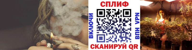 Канабис сатива  Севск 